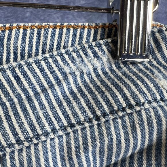 Anthropologie Pilcro & the Letterpress Blue & White Striped Denim Pants Sz 27 - Picture 5 of 6
